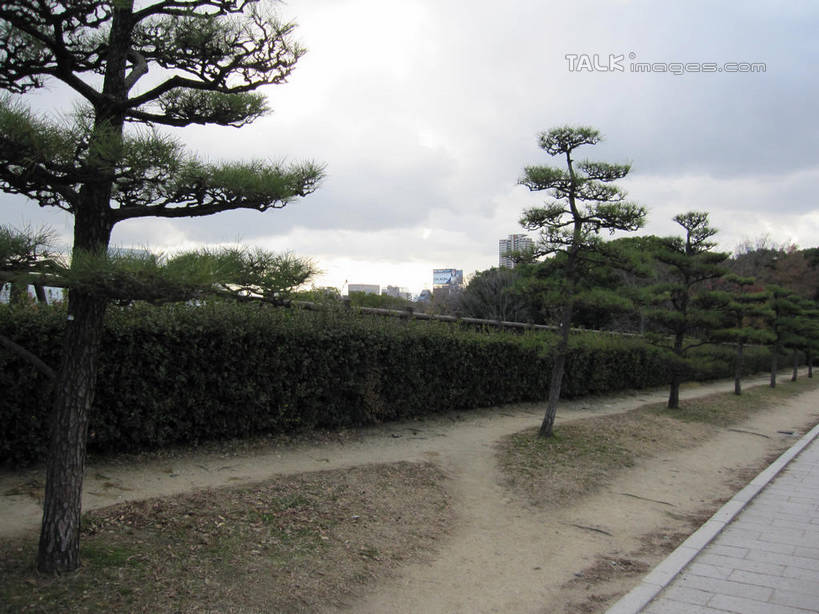 无人,公园,高楼大厦,横图,室外,白天,正面,度假,办公楼,美景,植物,城市风光,城市,大厦,建筑,摩天大楼,写字楼,日本,亚洲,阴影,光线,影子,景观,云,云朵,中央区,云彩,娱乐,树,树木,蓝色,绿色,白云,蓝天,天空,阳光,自然,楼宇,天,享受,休闲,商务楼,景色,放松,大阪,大阪城公园,生长,晴朗,成长,东亚,本州,大阪府,本州岛,日本国,近畿地方,近畿,晴空,彩图,大楼,高层建筑,高楼,摩天楼,shslj1