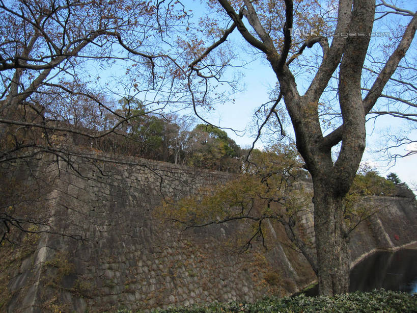 无人,公园,横图,室外,白天,仰视,度假,石头,美景,植物,城市风光,城市,日本,亚洲,阴影,光线,石子,影子,墙,景观,云,云朵,中央区,云彩,娱乐,墙壁,墙面,树,树木,蓝色,绿色,白云,蓝天,天空,阳光,自然,天,享受,休闲,景色,放松,大阪,大阪城公园,生长,晴朗,成长,东亚,本州,大阪府,本州岛,日本国,近畿地方,近畿,石块,晴空,彩图,低角度拍摄,shslj1