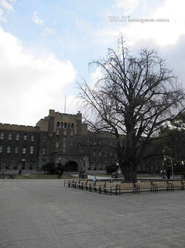 无人,博物馆,公园,竖图,室外,白天,仰视,旅游,度假,植物,标志建筑,地标,建筑,日本,亚洲,阴影,研究,光线,影子,云,云朵,中央区,教育,云彩,娱乐,建设,树,树木,蓝色,绿色,白云,蓝天,天空,阳光,自然,天,享受,休闲,旅游胜地,放松,大阪,大阪城公园,大阪历史博物馆,生长,晴朗,成长,展览,欣赏,陈列,东亚,本州,大阪府,本州岛,日本国,近畿地方,大阪城,近畿,典藏,晴空,彩图,低角度拍摄,shslj1