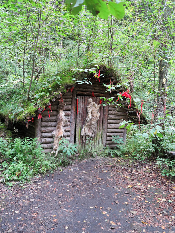 无人,家,木屋,竖图,室外,白天,正面,旅游,度假,草地,草坪,美景,山脉,树林,植物,叶子,长白山,中国,亚洲,一座,丝绸,丝带,景观,枯叶,落叶,缎带,娱乐,住宅,绸带,草,树,树木,红色,绿色,自然,享受,休闲,景色,放松,生长,成长,自然风光,东亚,吉林,吉林省,中华人民共和国,东北地区,吉,叶,叶片,彩图,茅舍,茅屋,棚屋,小木屋,小屋,长白山脉,shslj1