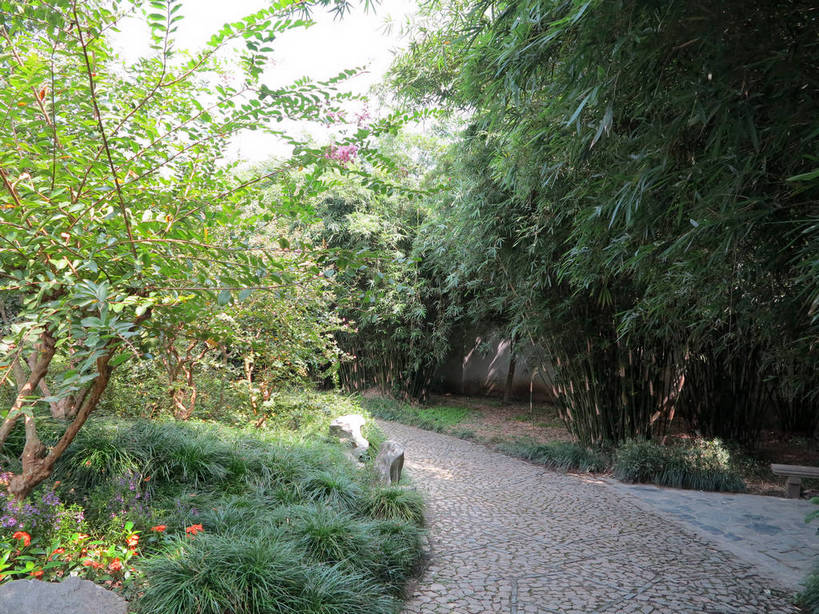 无人,横图,室外,白天,正面,旅游,度假,草地,草坪,美景,树林,植物,道路,路,上海,中国,亚洲,曲折,弯曲,盛开,景观,小路,交通,花蕾,娱乐,草,花,花瓣,花朵,鲜花,树,树木,绿色,天空,自然,天,花苞,花蕊,享受,休闲,景色,放松,蜿蜒,生长,成长,申,自然风光,东亚,上海市,嘉定区,古猗园,中华人民共和国,沪,华东地区,彩图,古漪园,南翔,南翔镇,shslj1