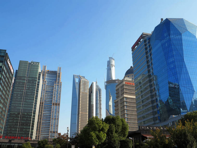 无人,高楼大厦,横图,室外,白天,仰视,度假,美景,树林,植物,窗户,落地窗,城市风光,标志建筑,城市,大厦,地标,建筑,摩天大楼,上海,中国,亚洲,一排,许多,阴影,整齐,并列,并排,光线,影子,景观,建筑群,很多,娱乐,建设,浦东,玻璃窗,树,树木,排列,蓝色,绿色,蓝天,天空,阳光,自然,天,享受,休闲,景色,放松,生长,晴朗,成长,申,队列,平行,玻璃幕墙,金融中心,陆家嘴,陆家嘴金融贸易区,浦东新区,东亚,平安金融大厦,上海市,万里无云,中华人民共和国,沪,华东地区,晴空,晴空万里,彩图,低角度拍摄,大楼,高层建筑,高楼,摩天楼,中国平安金融大厦,上海银行大厦,shslj1,港务大厦,中国金融信息中心