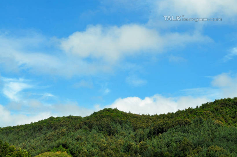 无人,横图,室外,白天,仰视,旅游,度假,美景,森林,山,山脉,树林,植物,韩国,亚洲,阴影,光线,影子,景观,山峰,云,云朵,山峦,云彩,娱乐,树,树木,蓝色,绿色,白云,蓝天,天空,阳光,自然,群山,天,享受,休闲,景色,放松,生长,晴朗,成长,自然风光,东亚,大韩民国,广域市,大田,大田市,大田广域市,忠清北道,晴空,彩图,低角度拍摄,道,shslj1,南朝鲜,南韩