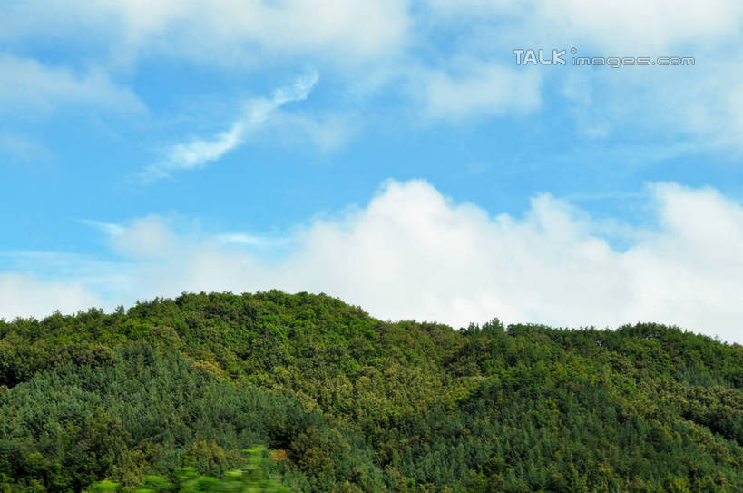 无人,横图,室外,白天,正面,旅游,度假,美景,森林,山,山脉,树林,植物,韩国,亚洲,阴影,光线,影子,景观,山峰,云,云朵,山峦,云彩,娱乐,树,树木,蓝色,绿色,白云,蓝天,天空,阳光,自然,群山,天,享受,休闲,景色,放松,生长,晴朗,成长,自然风光,东亚,大韩民国,广域市,大田,大田市,大田广域市,忠清北道,晴空,彩图,道,shslj1,南朝鲜,南韩