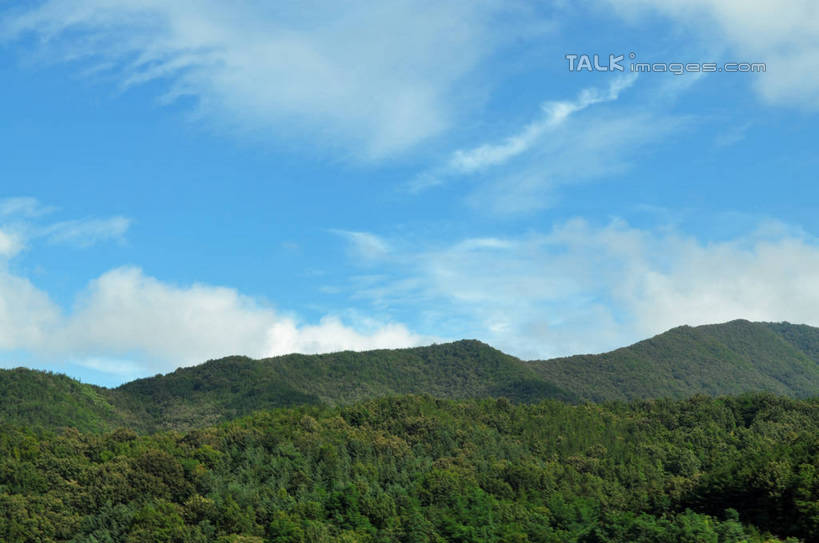 无人,横图,室外,白天,正面,旅游,度假,美景,森林,山,山脉,树林,植物,韩国,亚洲,阴影,光线,影子,景观,山峰,云,云朵,山峦,云彩,娱乐,树,树木,蓝色,绿色,白云,蓝天,天空,阳光,自然,群山,天,享受,休闲,景色,放松,生长,晴朗,成长,自然风光,东亚,大韩民国,广域市,大田,大田市,大田广域市,忠清北道,晴空,彩图,道,shslj1,南朝鲜,南韩