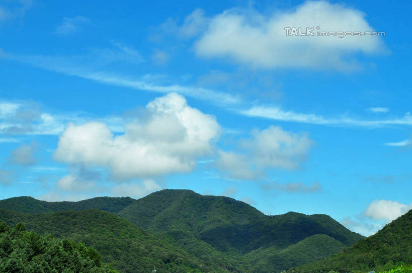 无人,横图,室外,白天,正面,旅游,度假,美景,森林,山,山脉,树林,植物,韩国,亚洲,阴影,光线,影子,景观,山峰,云,云朵,山峦,云彩,娱乐,树,树木,蓝色,绿色,白云,蓝天,天空,阳光,自然,群山,天,享受,休闲,景色,放松,生长,晴朗,成长,自然风光,东亚,大韩民国,广域市,大田,大田市,大田广域市,忠清北道,晴空,彩图,道,shslj1,南朝鲜,南韩