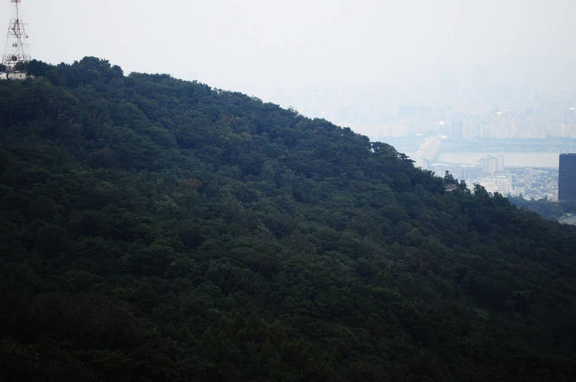 无人,公园,横图,室外,白天,正面,旅游,度假,美景,森林,山,山脉,树林,植物,城市风光,标志建筑,城市,地标,建筑,首尔,汉城,韩国,亚洲,一座,景观,山峰,塔,山峦,首都,娱乐,建设,树,树木,绿色,天空,自然,群山,天,享受,休闲,景色,放松,茂密,茂盛,生长,成长,电视塔,东亚,南山,大韩民国,首尔市,首尔特别市,特别市,南山公园,N首尔塔,首尔塔,汉城塔,龙山区,彩图,中区,shslj1,韩国首尔南山公园