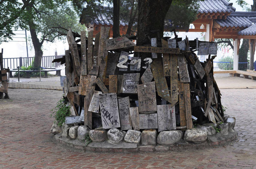 无人,横图,室外,白天,正面,旅游,度假,岛屿,美景,植物,建筑,春川,南怡岛,韩国,亚洲,入口,瓦片,屋顶,岛,景观,顶棚,瓦,娱乐,树,树木,绿色,天空,自然,天,享受,休闲,景色,放松,建造,生长,成长,自然风光,进口,东亚,屋瓦,大韩民国,江原道,春川市,列岛,群岛,诸岛,彩图,道,shslj1