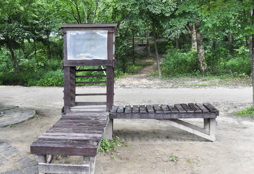 无人,横图,室外,白天,正面,旅游,度假,美景,森林,树林,植物,道路,路,春川,南怡岛,韩国,亚洲,环保,木材,景观,小路,交通,娱乐,木柴,树,树木,绿色,自然,享受,休闲,景色,放松,木料,乡间小路,生长,成长,回收,资源,回收站,自然风光,利用,东亚,循环,大韩民国,江原道,春川市,彩图,道,shslj1