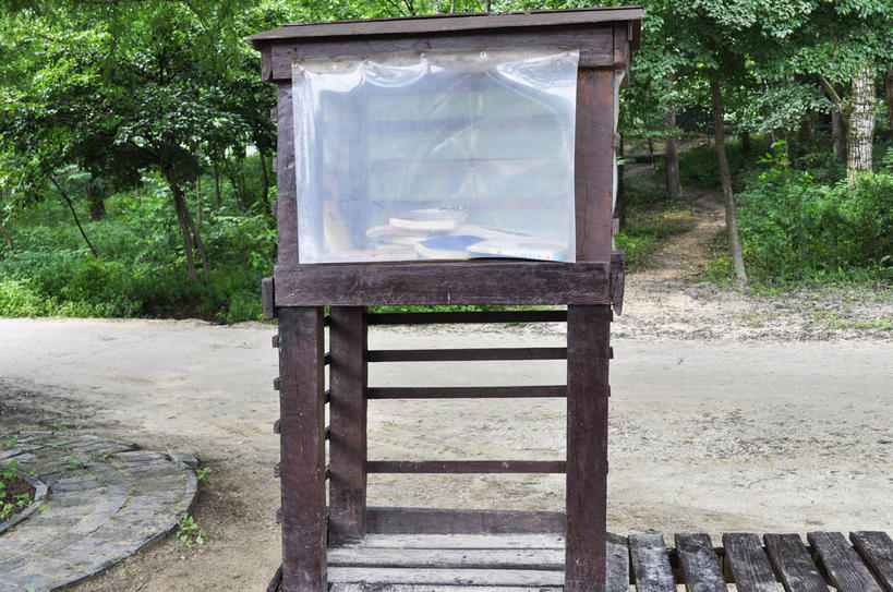 无人,横图,室外,白天,正面,旅游,度假,美景,森林,树林,植物,道路,路,春川,南怡岛,韩国,亚洲,环保,木材,景观,小路,交通,娱乐,木柴,树,树木,绿色,自然,享受,休闲,景色,放松,木料,乡间小路,生长,成长,回收,资源,回收站,自然风光,利用,东亚,循环,大韩民国,江原道,春川市,彩图,道,shslj1