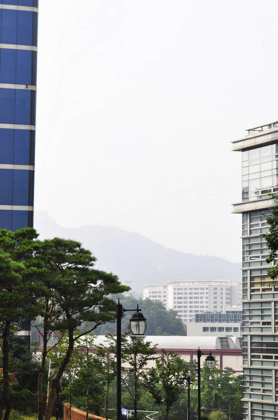 无人,高楼大厦,竖图,室外,白天,正面,度假,美景,植物,城市风光,标志建筑,城市,大厦,地标,建筑,路灯,摩天大楼,照明,首尔,汉城,韩国,亚洲,景观,灯光,首都,娱乐,建设,灯,树,树木,绿色,天空,自然,天,享受,休闲,景色,放松,生长,成长,照亮,照明设备,东亚,大韩民国,首尔市,首尔特别市,特别市,彩图,大楼,高层建筑,高楼,摩天楼,shslj1,首尔贞洞街