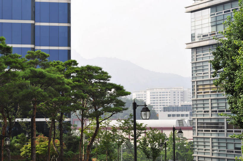 无人,高楼大厦,横图,室外,白天,正面,度假,美景,植物,城市风光,标志建筑,城市,大厦,地标,建筑,路灯,摩天大楼,照明,首尔,汉城,韩国,亚洲,景观,灯光,首都,娱乐,建设,灯,树,树木,绿色,天空,自然,天,享受,休闲,景色,放松,生长,成长,照亮,照明设备,东亚,大韩民国,首尔市,首尔特别市,特别市,彩图,大楼,高层建筑,高楼,摩天楼,shslj1,首尔贞洞街