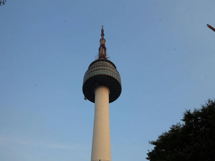 无人,公园,横图,室外,白天,仰视,旅游,度假,美景,植物,城市风光,标志建筑,城市,地标,建筑,首尔,汉城,韩国,亚洲,一座,阴影,光线,影子,景观,云,云朵,塔,首都,云彩,娱乐,建设,树,树木,蓝色,绿色,白云,蓝天,天空,阳光,自然,天,享受,休闲,景色,放松,生长,晴朗,成长,电视塔,东亚,南山,大韩民国,首尔市,首尔特别市,特别市,南山公园,N首尔塔,首尔塔,汉城塔,龙山区,晴空,彩图,低角度拍摄,中区,shslj1,韩国首尔南山公园