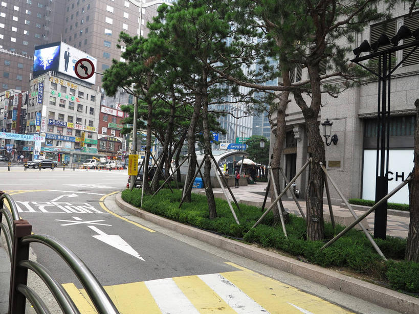 无人,高楼大厦,商店,横图,室外,白天,正面,购物,度假,消费,美景,植物,城市风光,标志建筑,超市,城市,大厦,道路,地标,建筑,路,摩天大楼,商场,公路,首尔,汉城,韩国,亚洲,景观,分界线,停车线,交通,首都,方向,娱乐,建设,箭头,树,树木,绿色,自然,享受,休闲,景色,放松,金融,百货,生长,成长,车行道,车行道分界线,指向,标线,选购,贸易,百货公司,东亚,车行线,簇,血拼,大韩民国,首尔市,首尔特别市,特别市,马路,彩图,大楼,高层建筑,高楼,购物商场,购物中心,摩天楼,商业中心,明洞,中区,新世界百货,shslj1,新世界百货店