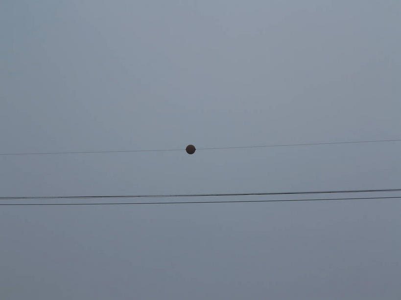 东方人,一个人,横图,室外,白天,仰视,运动服,锻炼,旅游,度假,探险,运动,河流,美景,水,雾,春川,南怡岛,韩国,亚洲,仅一个男性,仅一个人,握,服装,朦胧,模糊,河水,景观,水流,速滑,黄种人,娱乐,极限运动,仅一个年轻男性,衣服,蓝色,蓝天,天空,自然,天,享受,休闲,景色,放松,握着,服饰,迷雾,衣着,穿着,自然风光,室外运动,下降,降落,户外运动,速降,东亚,大韩民国,江原道,春川市,衣饰,降低,下跌,下落,冒险,体育,男人,男性,年轻男性,亚洲人,大雾,彩图,低角度拍摄,全身,健身,滑索,道,运动装,shslj1