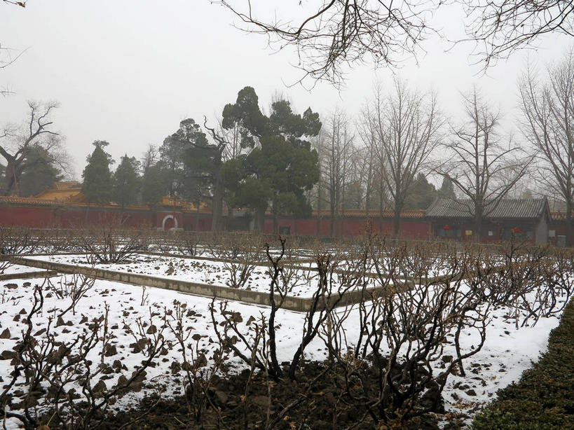 无人,公园,横图,室外,白天,正面,度假,美景,雪,植物,大雪,城市风光,城市,北京,中国,亚洲,墙,屋顶,积雪,景观,乌云,雪景,云,阴天,云朵,冬季,冬天,首都,云彩,顶棚,娱乐,景山公园,墙壁,墙面,树,树木,黄色,红色,绿色,天空,自然,天,享受,休闲,景色,放松,寒冷,生长,成长,昏暗,阴沉,东亚,中华人民共和国,北京市,京,北平,华北地区,西城区,严寒,彩图,煤山,shslj1