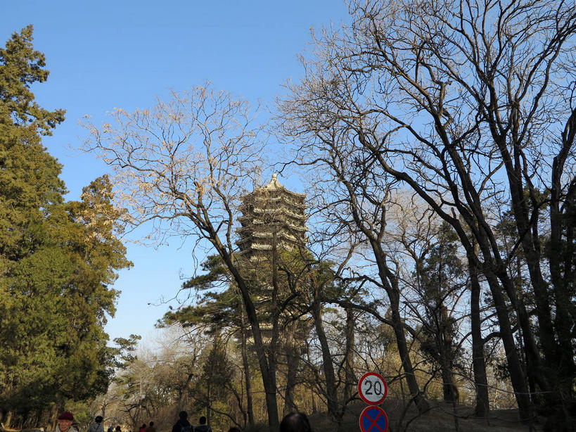 无人,横图,室外,白天,仰视,旅游,度假,植物,标志建筑,地标,建筑,指示牌,北京,中国,亚洲,阴影,光线,标志,路标,瓦片,影子,屋檐,塔,首都,警告,娱乐,标识,建设,路牌,檐,树,树木,蓝色,绿色,蓝天,天空,阳光,自然,人工湖,天,享受,休闲,旅游胜地,放松,警示,生长,晴朗,成长,禁止,提醒,提示,限制,东亚,海淀区,万里无云,中华人民共和国,北京市,京,北平,华北地区,危险,晴空,晴空万里,彩图,低角度拍摄,北大,北京大学,京师大学堂,颐和园路,未名湖,飞檐,shslj1,博雅塔,一塔湖图