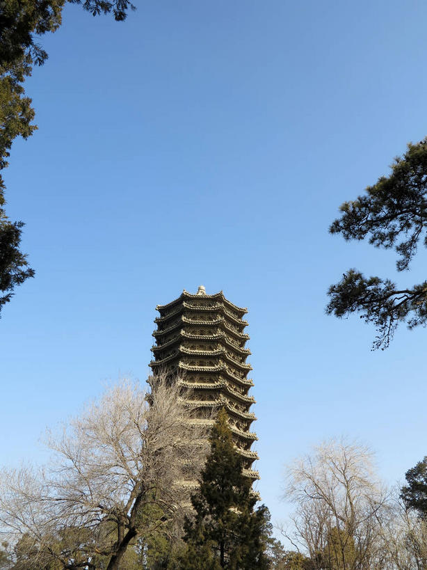 无人,竖图,室外,白天,仰视,旅游,度假,植物,标志建筑,地标,建筑,北京,中国,亚洲,阴影,光线,瓦片,影子,屋檐,塔,首都,娱乐,建设,檐,树,树木,蓝色,绿色,蓝天,天空,阳光,自然,人工湖,天,享受,休闲,旅游胜地,放松,生长,晴朗,成长,东亚,海淀区,万里无云,中华人民共和国,北京市,京,北平,华北地区,晴空,晴空万里,彩图,低角度拍摄,北大,北京大学,京师大学堂,颐和园路,未名湖,飞檐,shslj1,博雅塔,一塔湖图