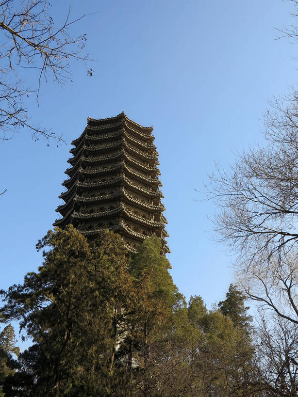 无人,竖图,室外,白天,仰视,旅游,度假,植物,标志建筑,地标,建筑,北京,中国,亚洲,阴影,光线,瓦片,影子,屋檐,塔,首都,娱乐,建设,檐,树,树木,蓝色,绿色,蓝天,天空,阳光,自然,人工湖,天,享受,休闲,旅游胜地,放松,生长,晴朗,成长,东亚,海淀区,万里无云,中华人民共和国,北京市,京,北平,华北地区,晴空,晴空万里,彩图,低角度拍摄,北大,北京大学,京师大学堂,颐和园路,未名湖,飞檐,shslj1,博雅塔,一塔湖图