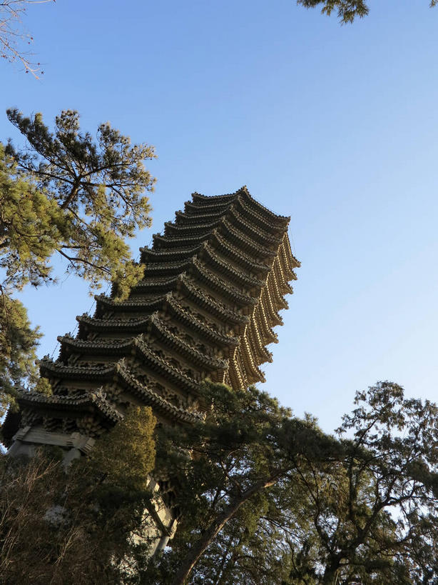 无人,竖图,室外,白天,仰视,旅游,度假,植物,标志建筑,地标,建筑,北京,中国,亚洲,阴影,光线,瓦片,影子,屋檐,塔,首都,娱乐,建设,檐,树,树木,蓝色,绿色,蓝天,天空,阳光,自然,人工湖,天,享受,休闲,旅游胜地,放松,生长,晴朗,成长,东亚,海淀区,万里无云,中华人民共和国,北京市,京,北平,华北地区,晴空,晴空万里,彩图,低角度拍摄,北大,北京大学,京师大学堂,颐和园路,未名湖,飞檐,shslj1,博雅塔,一塔湖图