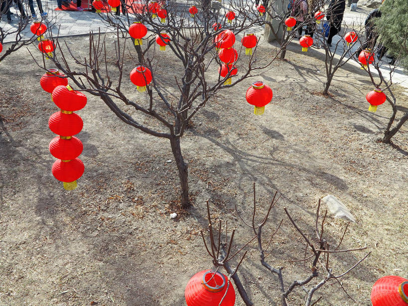 无人,公园,横图,俯视,室外,白天,旅游,度假,美景,植物,照明,北京,圆明园,中国,亚洲,许多,吊挂,悬挂,阴影,枯萎,光线,灯笼,影子,纸灯笼,景观,枯草,首都,很多,挂,娱乐,草,树,树木,黄色,红色,绿色,阳光,自然,灯具,享受,休闲,景色,放松,生长,成长,照亮,照明设备,自然风光,东亚,海淀区,中华人民共和国,北京市,京,北平,华北地区,彩图,高角度拍摄,圆明园遗址,圆明园遗址公园,shslj1