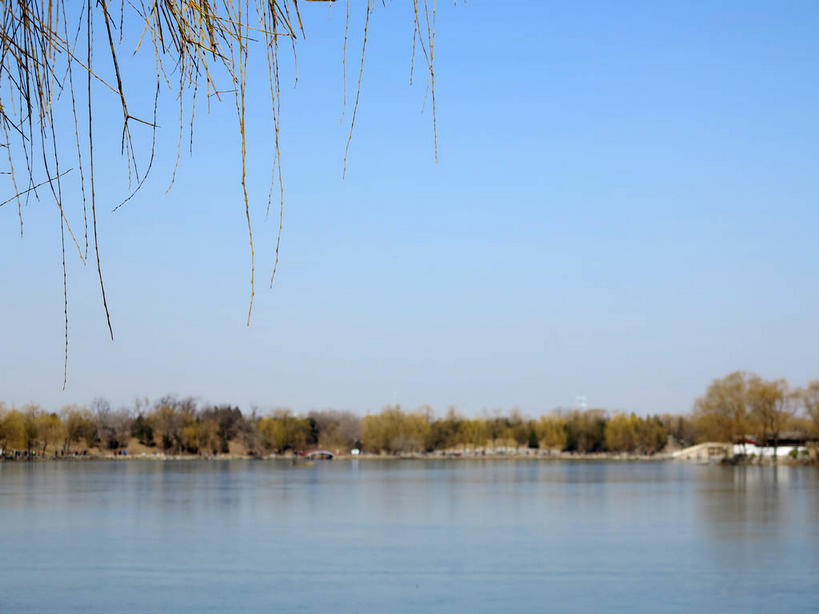 无人,公园,横图,室外,白天,正面,旅游,度假,湖,湖泊,名胜古迹,树林,水,植物,标志建筑,地标,建筑,桥梁,北京,圆明园,中国,亚洲,阴影,遗迹,光线,影子,湖面,水流,水面,桥,首都,古迹,文物,娱乐,建设,古建筑,石桥,树,树木,蓝色,绿色,倒影,蓝天,天空,阳光,自然,湖水,天,享受,休闲,旅游胜地,放松,生长,晴朗,成长,人行桥,倒映,古文明,东亚,海淀区,万里无云,中华人民共和国,北京市,京,北平,华北地区,反照,晴空,晴空万里,彩图,圆明园遗址,圆明园遗址公园,shslj1,天心水面