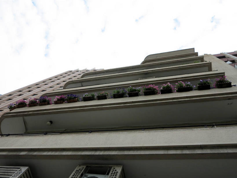 无人,露台,横图,室外,白天,仰视,旅游,度假,植物,阳台,标志建筑,地标,建筑,上海,中国,亚洲,一排,许多,整齐,盆栽,房屋,墙,屋子,公寓,盆景,很多,娱乐,建设,楼房,墙壁,墙面,住宅,排列,绿色,天空,自然,天,享受,休闲,旅游胜地,放松,生长,成长,申,队列,故居,东亚,静安区,上海市,中华人民共和国,沪,华东地区,彩图,低角度拍摄,房子,露天阳台,shslj1,爱林登公寓,常德公寓,常德路,张爱玲故居