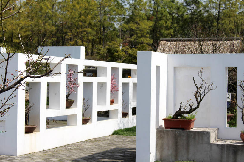 无人,横图,室外,白天,正面,度假,美景,植物,城市风光,城市,阴影,光线,方格,格子,盆栽,影子,墙,景观,盆景,地面,娱乐,墙壁,墙面,树,树木,绿色,白色,阳光,自然,享受,休闲,景色,放松,生长,成长,盆景树,盆栽树,彩图,shslj1