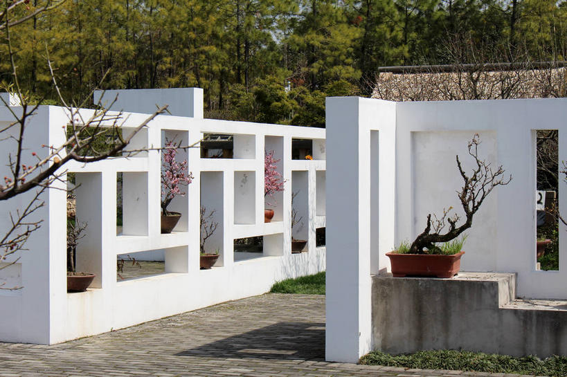 无人,横图,室外,白天,正面,度假,美景,植物,城市风光,城市,阴影,光线,方格,格子,盆栽,影子,墙,景观,盆景,地面,娱乐,墙壁,墙面,树,树木,绿色,白色,阳光,自然,享受,休闲,景色,放松,生长,成长,盆景树,盆栽树,彩图,shslj1