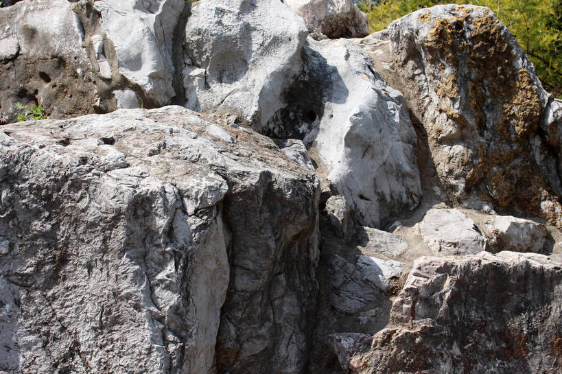 无人,横图,俯视,室外,特写,白天,石头,阴影,光线,石子,影子,青苔,苔藓,阳光,石块,岩石,彩图,高角度拍摄,shslj1