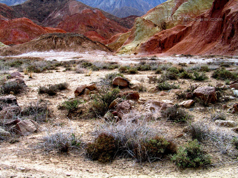 无人,横图,室外,白天,正面,旅游,度假,草地,石头,美景,山,山脉,植物,阴影,光线,石子,影子,景观,山顶,山峰,山峦,娱乐,草,绿色,阳光,自然,群山,享受,休闲,景色,放松,自然风光,沉积岩,颠峰,极峰,水成岩,石块,岩石,彩图,shtjw1