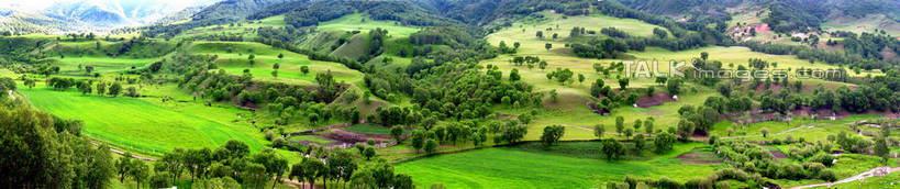 无人,横图,俯视,室外,白天,旅游,度假,草地,草坪,石头,美景,山,山脉,树林,植物,坝上,中国,亚洲,阴影,光线,石子,影子,景观,山顶,山峰,山峦,娱乐,草,树,树木,绿色,阳光,自然,群山,享受,休闲,景色,放松,生长,成长,自然风光,东亚,沉积岩,中华人民共和国,华北地区,河北,河北省,冀,承德,承德市,颠峰,极峰,水成岩,石块,岩石,彩图,高角度拍摄,丰宁县,大滩镇,坝上草原,丰宁满族自治县,京北第一草原,shtjw1
