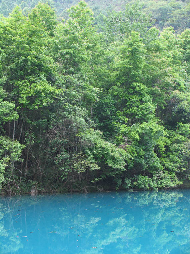 无人,竖图,室外,白天,正面,旅游,度假,湖,湖泊,美景,森林,树林,水,植物,中国,亚洲,阴影,波纹,光线,影子,湖面,景观,水流,水面,涟漪,娱乐,树,树木,绿色,倒影,水纹,阳光,自然,波浪,湖水,享受,休闲,景色,放松,生长,成长,倒映,自然风光,东亚,贵州,贵州省,中华人民共和国,水晕,黔,西南地区,反照,彩图,shtjw1