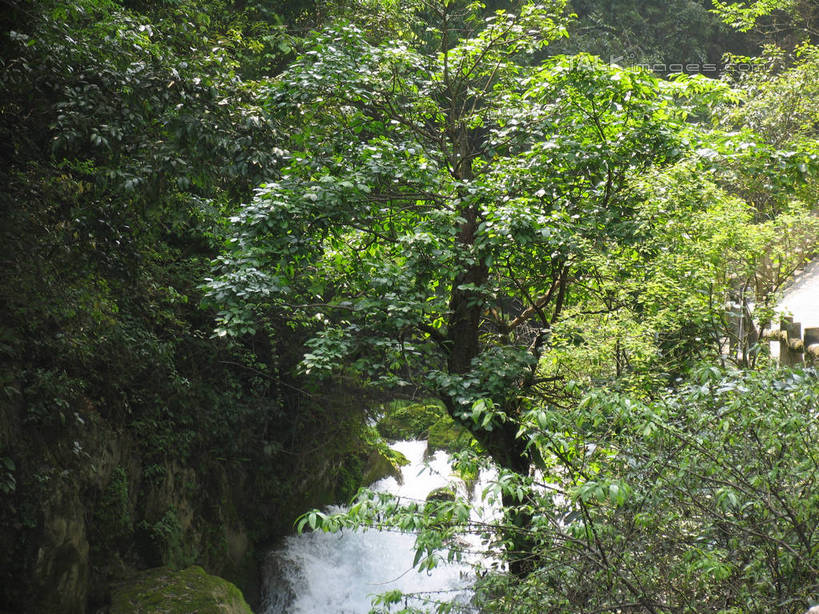 无人,横图,俯视,室外,白天,旅游,度假,河流,石头,美景,瀑布,森林,树林,水,植物,中国,亚洲,飞溅,溅,石子,液体,河水,景观,水滴,水流,娱乐,水珠,树,树木,绿色,小溪,自然,溪水,享受,休闲,景色,放松,生长,成长,喷洒,自然风光,东亚,贵州,贵州省,中华人民共和国,黔,西南地区,跌水,石块,彩图,高角度拍摄,shtjw1