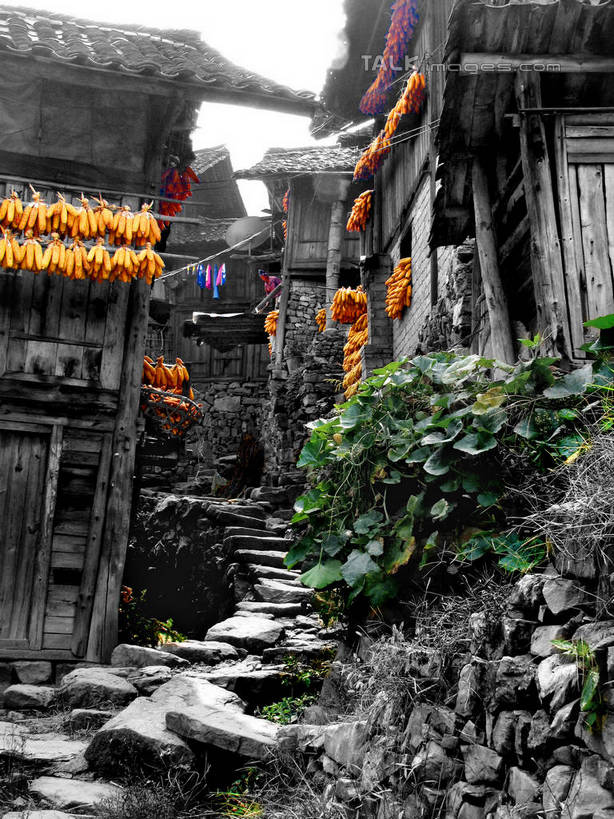 无人,家,木屋,竖图,室外,白天,仰视,旅游,度假,玉米,石头,名胜古迹,标志建筑,道路,地标,建筑,路,蔬菜,中国,亚洲,吊挂,悬挂,阴影,新鲜,遗迹,光线,棒子,石子,影子,小路,玉蜀黍,食品,交通,挂,古迹,文物,娱乐,建设,古建筑,住宅,食物,阳光,享受,休闲,旅游胜地,放松,有机食品,绿色食品,乡间小路,苞米,苞芦,古文明,东亚,苞谷,贵州,贵州省,郎德上寨,首府,中华人民共和国,黔,西南地区,包谷,大蜀黍,番麦,薏米包,玉高粱,玉麦,珍珠米,黔东南,黔东南州,黔东南苗族侗族自治州,石块,彩图,低角度拍摄,茅舍,茅屋,棚屋,小木屋,小屋,凯里,凯里市,shtjw1