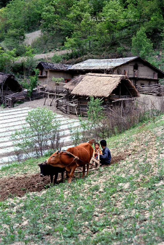 东方人,两个人,农民,家,木屋,农田,站,竖图,俯视,室外,白天,旅游,度假,庄稼,农作物,河流,美景,水,植物,牛,中国,亚洲,波纹,服装,河水,景观,水流,涟漪,注视,休闲装,黄种人,娱乐,住宅,树,树木,一只,衣服,绿色,倒影,水纹,自然,动物,波浪,观察,看,站着,享受,休闲,休闲服,家畜,景色,放松,服饰,牲畜,生长,成长,观看,察看,倒映,关注,自然风光,东亚,湖北,湖北省,神农架,中华人民共和国,水晕,华中地区,鄂,反照,男人,男性,年轻男性,年轻女性,女人,女性,亚洲人,佃农,农场主,农夫,农工,乡下人,小农,庄稼人,站立,彩图,高角度拍摄,全身,耕地,庄稼田,茅舍,茅屋,棚屋,小木屋,小屋,华中屋脊,神农架林区,shtjw1