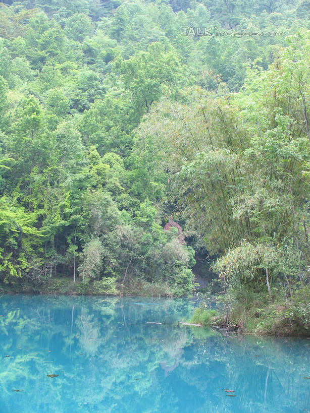 无人,竖图,室外,白天,正面,旅游,度假,湖,湖泊,美景,森林,树林,水,植物,中国,亚洲,阴影,波纹,光线,影子,湖面,景观,水流,水面,涟漪,娱乐,树,树木,绿色,倒影,水纹,阳光,自然,波浪,湖水,享受,休闲,景色,放松,生长,成长,倒映,自然风光,东亚,贵州,贵州省,中华人民共和国,水晕,黔,西南地区,反照,彩图,shtjw1