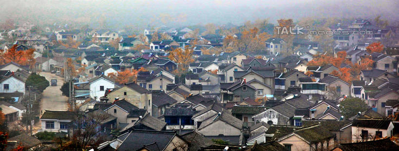 无人,家,横图,俯视,室外,白天,旅游,度假,植物,银杏树,中国,亚洲,阴影,光线,影子,房屋,屋子,娱乐,楼房,住宅,树,树木,绿色,阳光,自然,享受,休闲,放松,生长,成长,东亚,安徽,安徽省,中华人民共和国,华东地区,皖,鸭脚树,宿州,宿州市,银杏,公孙树,白果,彩图,高角度拍摄,房子,shtjw1