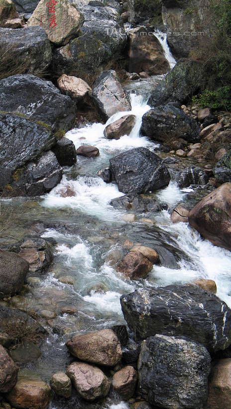 无人,竖图,俯视,室外,白天,河流,石头,美景,水,阴影,光线,石子,影子,河水,景观,水流,青苔,苔藓,小溪,阳光,自然,溪水,景色,自然风光,石块,彩图,高角度拍摄,shtjw1