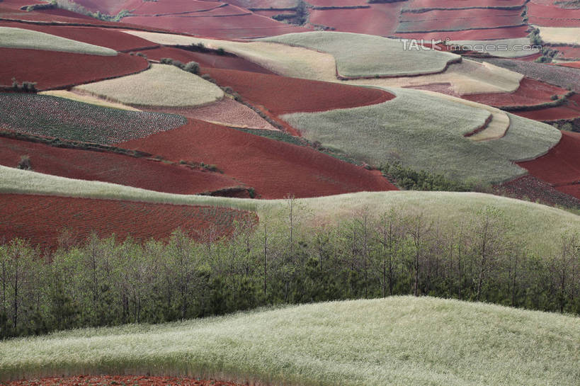 无人,农田,横图,俯视,室外,白天,旅游,度假,庄稼,农作物,石头,美景,山,山脉,植物,中国,亚洲,阴影,光线,石子,影子,景观,泥土,山顶,山峰,土壤,山峦,娱乐,云南,树,树木,绿色,阳光,自然,群山,享受,休闲,景色,放松,生长,成长,自然风光,红壤,东亚,沉积岩,云南省,中华人民共和国,西南地区,滇,颠峰,极峰,水成岩,石块,岩石,红土,彩图,高角度拍摄,耕地,庄稼田,shtjw1