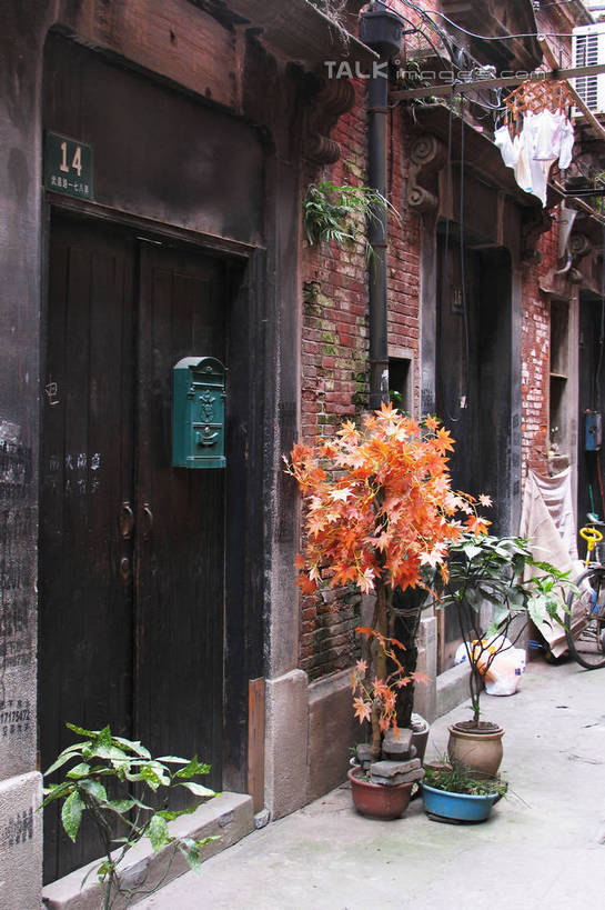 无人,家,竖图,室外,白天,正面,旅游,度假,植物,标志建筑,道路,地标,建筑,路,上海,中国,亚洲,盆栽,房屋,屋子,小路,小巷,盆景,交通,娱乐,建设,楼房,弄堂,石库门,住宅,巷子,绿色,自然,享受,休闲,旅游胜地,放松,生长,成长,申,东亚,上海市,中华人民共和国,沪,华东地区,彩图,房子,shtjw1