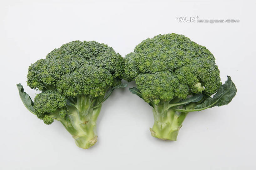 无人,横图,俯视,室内,特写,白天,白色背景,植物,蔬菜,叶子,阴影,新鲜,反射,纹理,影子,西兰花,食品,绿叶,食物,两个,绿色,嫩叶,摄影,有机食品,绿色食品,影棚,肌理,甘蓝花,叶,叶片,叶脉,彩图,高角度拍摄,影棚拍摄,拍摄,绿菜花,绿花菜,青花菜,蔬菜皇冠,shtjw1