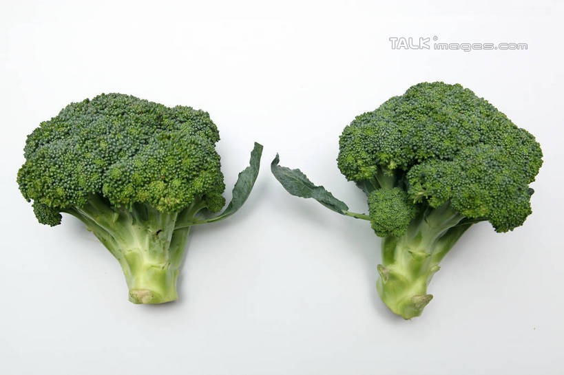 无人,横图,俯视,室内,特写,白天,白色背景,植物,蔬菜,叶子,阴影,新鲜,反射,纹理,影子,西兰花,食品,绿叶,食物,两个,绿色,嫩叶,摄影,有机食品,绿色食品,影棚,肌理,甘蓝花,叶,叶片,叶脉,彩图,高角度拍摄,影棚拍摄,拍摄,绿菜花,绿花菜,青花菜,蔬菜皇冠,shtjw1