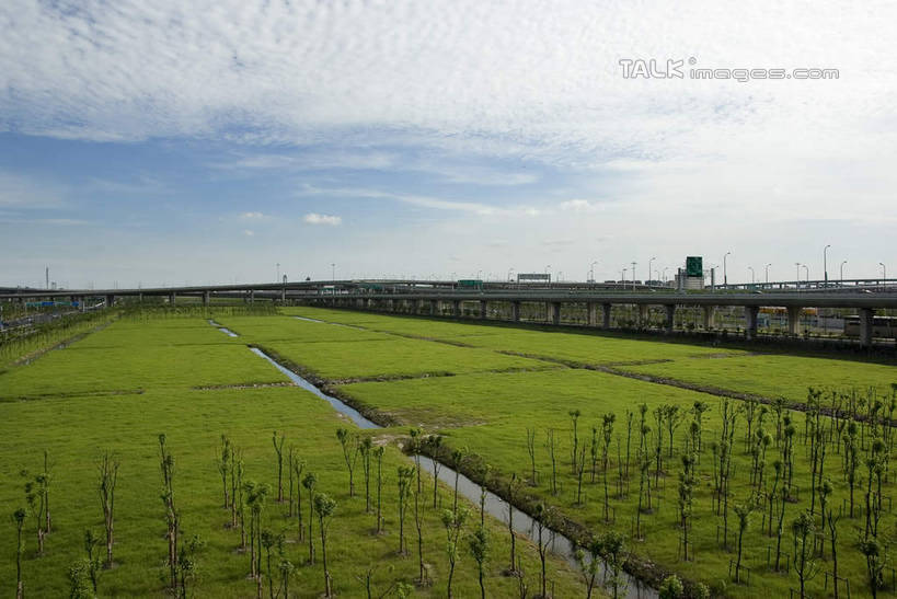 无人,农田,横图,室外,白天,正面,度假,庄稼,农作物,美景,城市风光,城市,道路,路,指示牌,公路,上海,中国,亚洲,阴影,光线,标志,路标,影子,景观,云,云朵,高架,交通,云彩,娱乐,标识,路牌,蓝色,白云,蓝天,天空,阳光,天,享受,休闲,景色,放松,晴朗,虹桥机场,申,高架桥,东亚,长宁区,上海市,高架道路,跨线桥,中华人民共和国,沪,华东地区,虹桥路,上海虹桥国际机场,晴空,彩图,耕地,庄稼田,shwf1