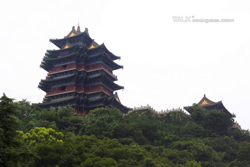 无人,横图,室外,白天,仰视,旅游,度假,名胜古迹,树林,植物,标志建筑,地标,建筑,南京,中国,亚洲,阴影,遗迹,光线,影子,房屋,楼阁,屋子,古迹,文物,娱乐,建设,古建筑,江苏,楼房,树,树木,蓝色,绿色,蓝天,天空,阳光,自然,天,享受,休闲,旅游胜地,放松,生长,晴朗,成长,狮子山,阅江楼,古文明,东亚,鼓楼,江苏省,南京市,万里无云,中华人民共和国,华东地区,苏,省会,石头城,晴空,晴空万里,彩图,低角度拍摄,房子,鼓楼区,卢龙山,架空,shwf1