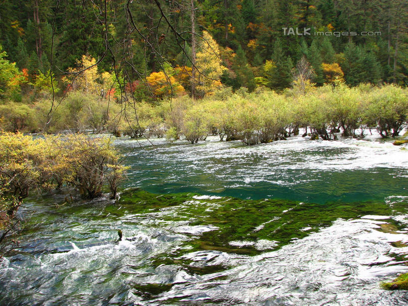 无人,横图,室外,白天,正面,旅游,度假,河流,美景,秋季,森林,树林,水,植物,中国,亚洲,阴影,波纹,光线,影子,河水,景观,水流,涟漪,娱乐,树,树木,绿色,水纹,阳光,自然,波浪,享受,休闲,景色,放松,北川县,四川省,生长,成长,波光粼粼,自然风光,东亚,四川,中华人民共和国,水晕,西南地区,川,绵阳,绵阳市,秋,秋天,彩图,北川羌族自治县,shwf1