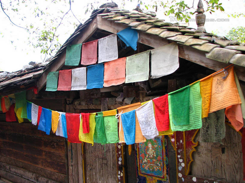 无人,家,寺庙,横图,彩色,室外,白天,正面,旅游,度假,植物,标志建筑,地标,建筑,旗帜,中国,亚洲,吊挂,悬挂,节日,房屋,屋子,枝条,挂,文化,娱乐,旗子,建设,楼房,住宅,树,树木,树枝,绿色,自然,庙宇,祈祷,享受,休闲,健康,旅游胜地,瓦房,放松,许愿,宗教,佛教,信仰,北川县,四川省,生长,成长,纪念,祈求,东亚,四川,中华人民共和国,西南地区,川,旌旗,旗号,绵阳,绵阳市,释教,虬枝,枝杈,平安,彩图,房子,庙,寺,北川羌族自治县,shwf1