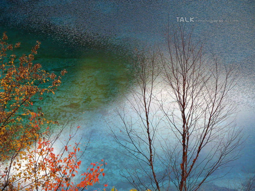 无人,横图,俯视,室外,白天,旅游,度假,草地,草坪,河流,美景,水,植物,中国,亚洲,阴影,光线,影子,河水,景观,水流,云,云朵,枝条,云彩,娱乐,草,树,树木,树枝,蓝色,绿色,白云,倒影,蓝天,天空,阳光,自然,天,享受,休闲,景色,放松,北川县,四川省,生长,晴朗,成长,倒映,自然风光,东亚,四川,中华人民共和国,西南地区,川,绵阳,绵阳市,反照,虬枝,枝杈,晴空,彩图,高角度拍摄,北川羌族自治县,shwf1