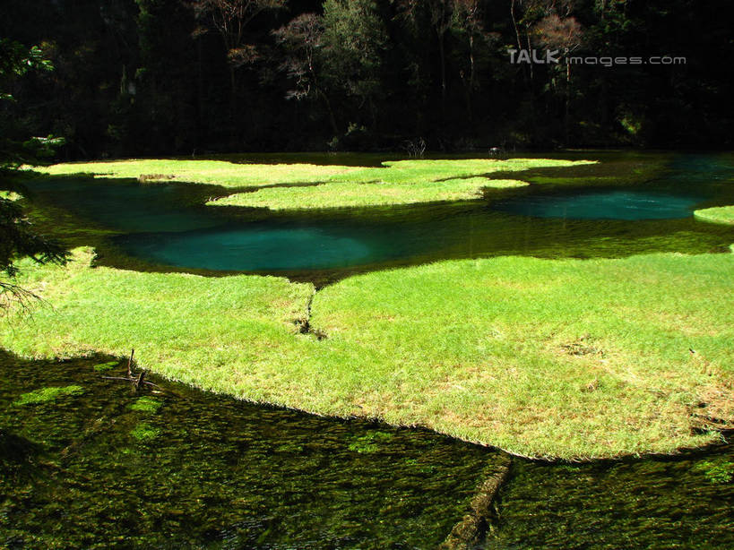 无人,横图,俯视,室外,白天,旅游,度假,草地,草坪,河流,美景,树林,水,植物,中国,亚洲,阴影,光线,影子,河水,景观,水流,浮萍,娱乐,草,树,树木,绿色,阳光,自然,享受,休闲,景色,放松,北川县,四川省,生长,成长,自然风光,水生植物,东亚,四川,中华人民共和国,西南地区,川,绵阳,绵阳市,彩图,高角度拍摄,青萍,北川羌族自治县,shwf1