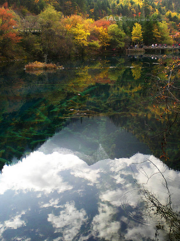 无人,竖图,室外,白天,正面,旅游,度假,湖,湖泊,美景,森林,树林,水,植物,中国,亚洲,阴影,光线,影子,湖面,景观,水流,水面,云,云朵,云彩,娱乐,树,树木,蓝色,绿色,白云,倒影,蓝天,天空,阳光,自然,湖水,天,享受,休闲,景色,放松,北川县,四川省,生长,晴朗,成长,倒映,自然风光,东亚,四川,中华人民共和国,西南地区,川,绵阳,绵阳市,反照,晴空,彩图,北川羌族自治县,shwf1